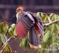 皬BX??暓:o遹?喬鹼Yu?5麝Ld斴溬擥:u的简单介绍